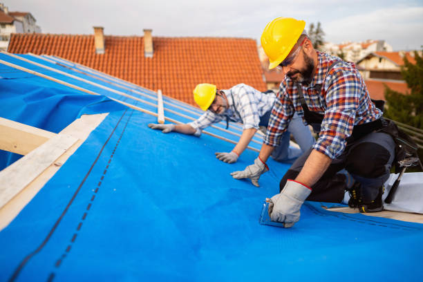 Roof Gutter Cleaning in Hinckley, MN
