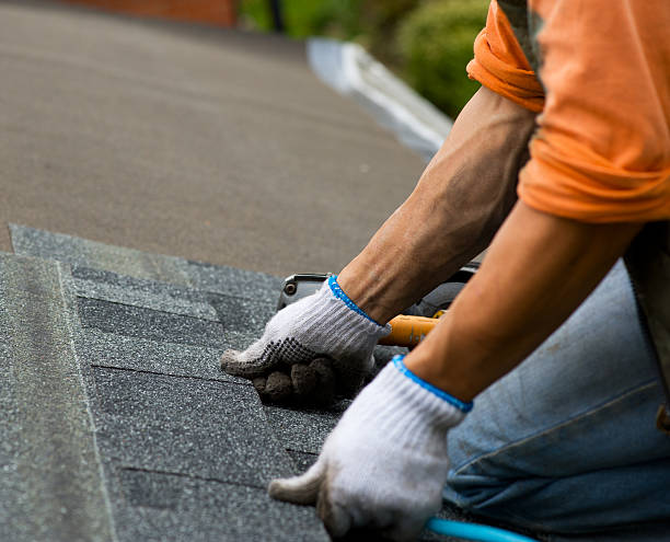 Best Roof Gutter Cleaning  in Hinckley, MN
