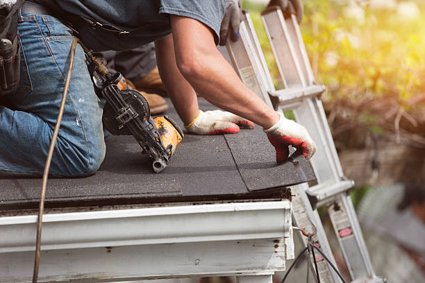 Best Roof Maintenance Services  in Hinckley, MN